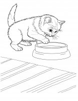 disegni/gatti/gatti_cats_ 11.jpg
